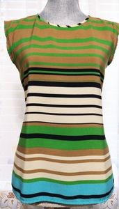 The Limited Stripes Blouse